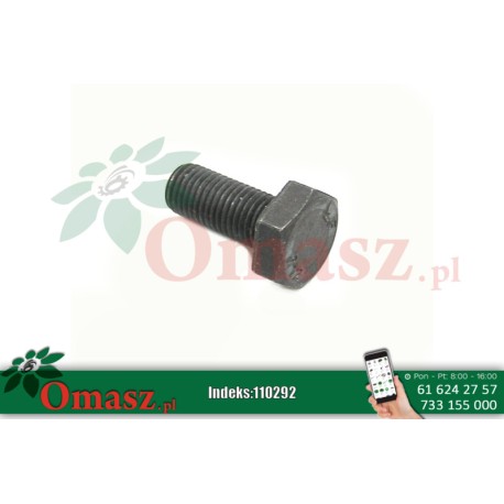 Śruba M10* 1.25*23 105 12.9