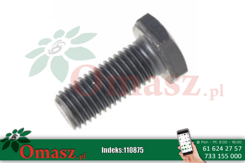 Śruba M22*100 101 8.8